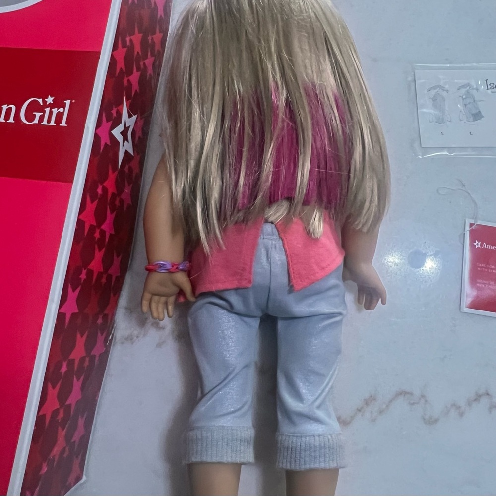 18” American Girl Doll Girl of the year Isabelle Palmer 2014 Original Outfit Box - Picture 2 of 12